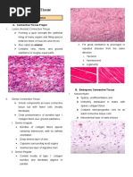 Connective Tissue