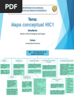 Mapa Conceptual NIC 1