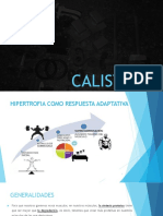 Cuarta Parte Curso Calistenia PDF