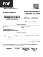 Formato Universal