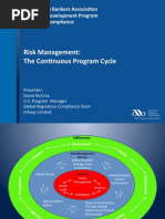 Risk Management: The Continuous Program Cycle