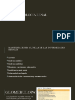 Patologia Renal