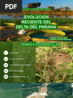 Evolucion Reciente Delta Parana