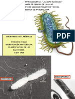 Tema 3 - Morfología y Clasificación de Las Bacterias