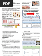 Ficha Calor Temperayu - 22