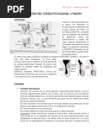 Patologias Del Conducto Inguinal y Fimosis