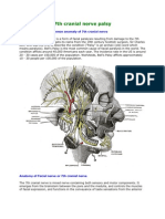 7th Cranial Nerve Palsy