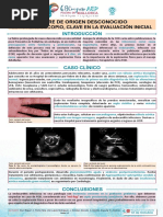 POSTER 68 CONGRESO AEP. Fiebre de Origen Desconocido, El Fonendoscopio, Clave en La Evaluación Inicial