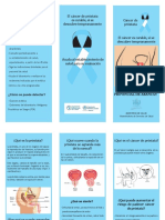 Triptico Cancer de Prostata