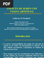 Colecta de Semen VA y EE