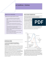 Lectura Preclase 3. Captulo 6 Baynes (1) .En - Es