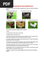 Especialidad de Aves Domesticas