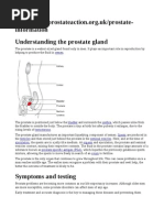 Information Understanding The Prostate Gland: Semen