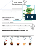 4°a1 Tarea 9 de Agosto Comunicacion