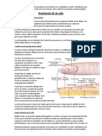 Anatomía de La Uña