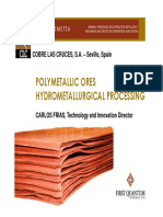 Polymetallic Ores Hydrometallurgical Processing: COBRE LAS CRUCES, S.A. - Seville, Spain