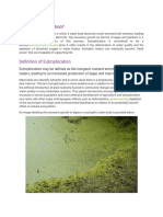 What Is Eutrophication?