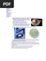 Recuento Microorganismos Aerobios Mesófilos