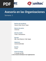 Asesoría en Las Organizaciones