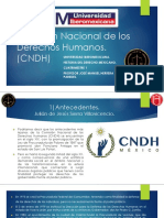 Comisión Nacional de Los Derechos Humanos