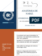 Anatomia de Nariz