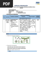 Sesión de Comunicaciòn (Semana 2)