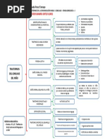 Cuadro Sinoptico de Trastornos Del Lenguaje en El Niño