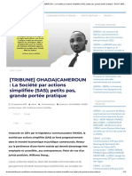 (TRIBUNE) OHADA - CAMEROUN - La Société Par Actions Simplifiée (SAS) Petits Pas, Grande Portée Pratique - DROIT MEDIAS FINANCE