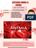 Informe Sobre La Anemia 2-1