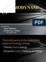 Final Thermodynamics