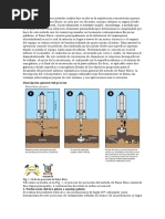 Raise Borer Informacion