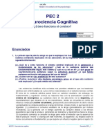 PEC 2 (Cómo Funciona El Cerebro)