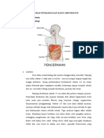 Laporan Pendahuluan Ileus Obstruktif