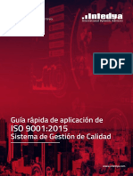 Guia Practica ISO9001