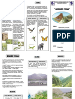 Triptico PDF