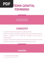 Sistema Genital Feminino