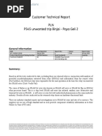 Customer Technical Report ACT 53519 Final - R1