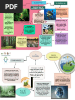 Ecologia Semana 1 Parcial 2