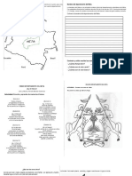 Actividades Cuaderno de Cuadritos Agosto 27