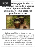 ¿Es El Té de Agujas de Pino La Respuesta Al Tóxico de La Vacuna Covid