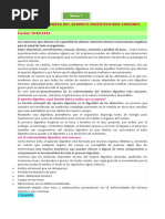 Anexo 1 Las 15 Enfermedades Del Aparato Digestivo Más Comunes