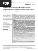 Work Transitions After Serious Hand Injury: Current Occupational Therapy Practice in A Middle-Income Country