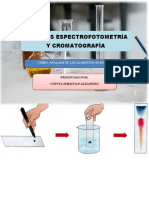 Espectrofotometria y Cromatografia Prese