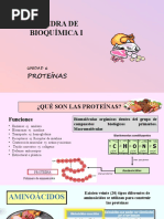 Power Point U.6 Proteínas. Nutri