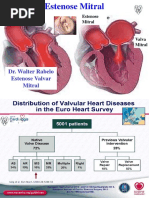 Este Nose Mitral 2020