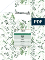 Nitrogen Cycle