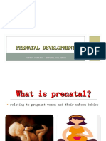 Stages of Prenatal Development