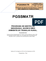 Modelo Pgssmatr NR31