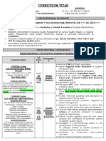 Curriculum Vitae: Professional Summary