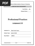 Professional Practices: Assignment # 03